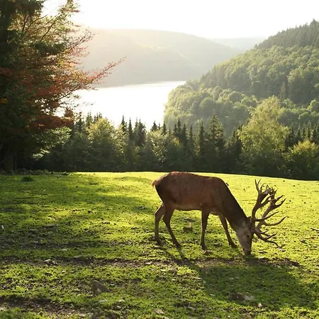 Appartement Moderne Im Herzen Des Nationalparks *