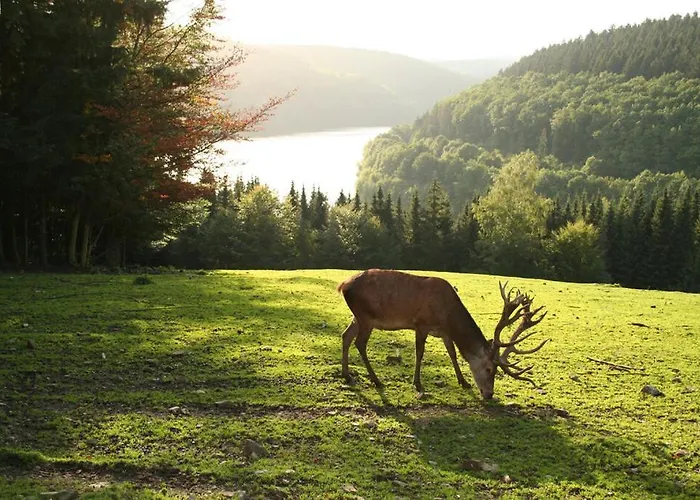 Lejlighed Moderne Im Herzen Des Nationalparks *